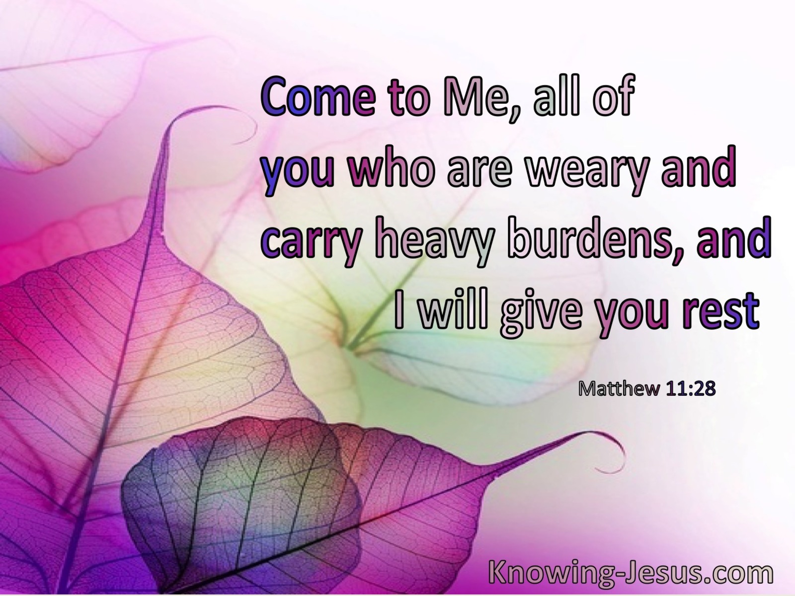 Matthew 11:28 Come To Me All Who Are Weary (windows)01:22